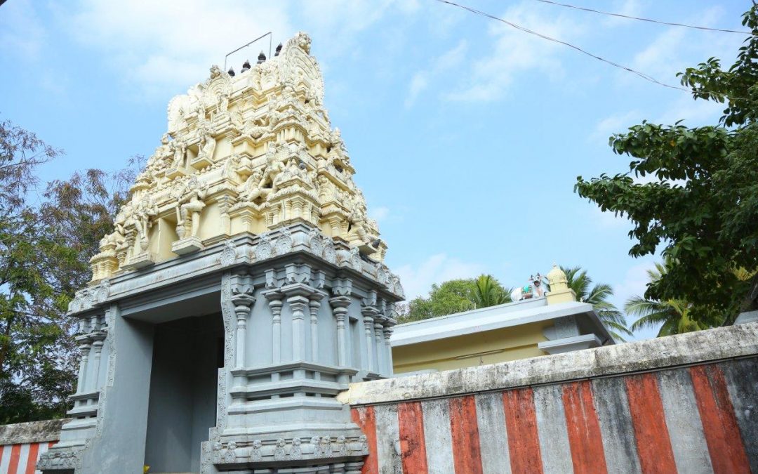 சிலிர்க்க வைக்கும் உண்மைகள்