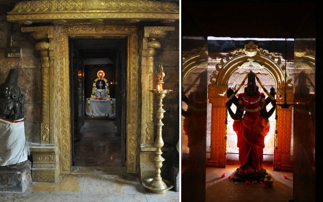 இணைபிரியா அழகுகள்